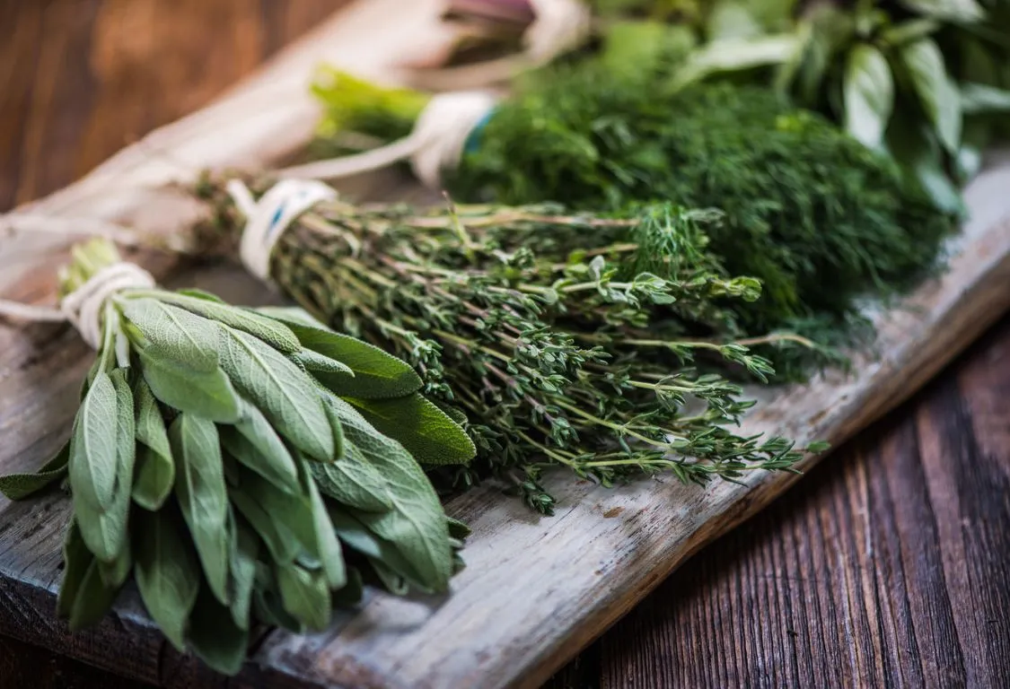 Best Herbs for Beginners