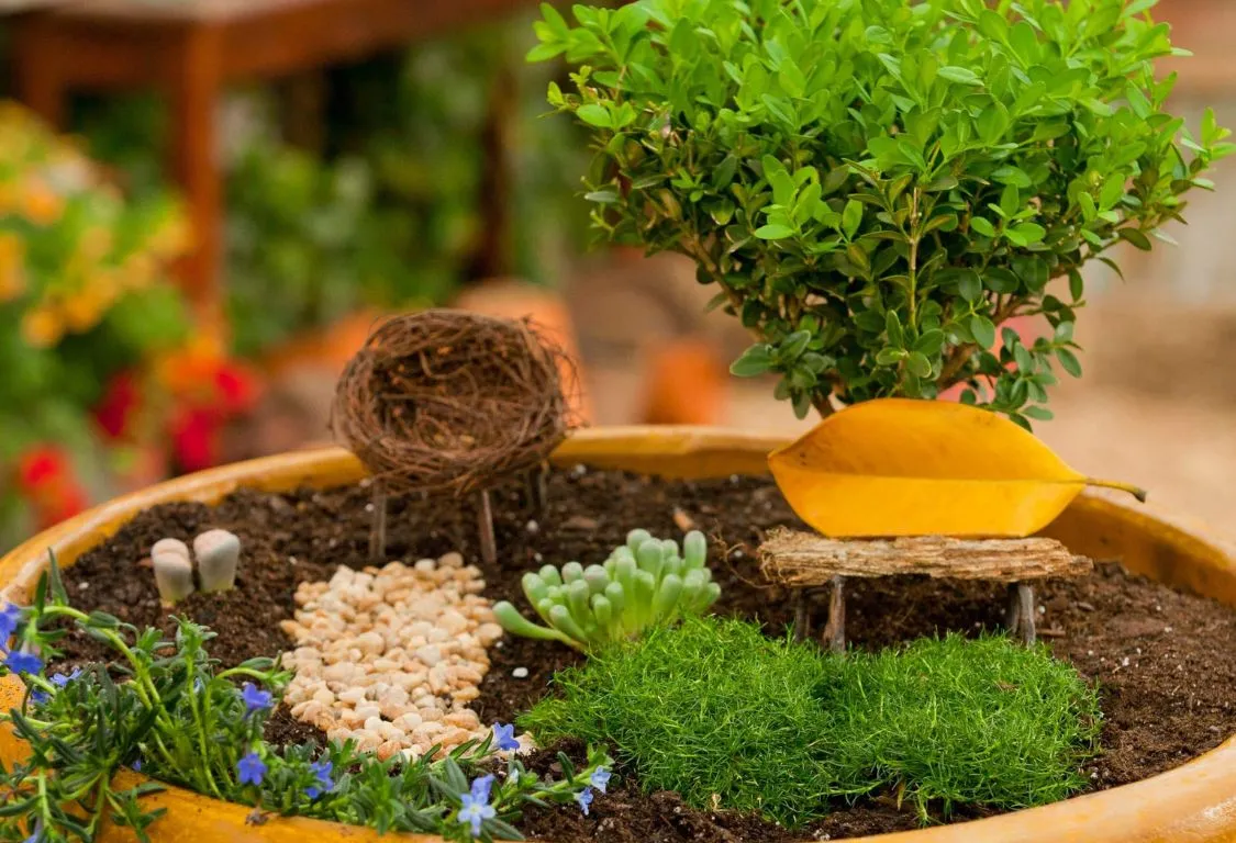 DIY container gardening ideas