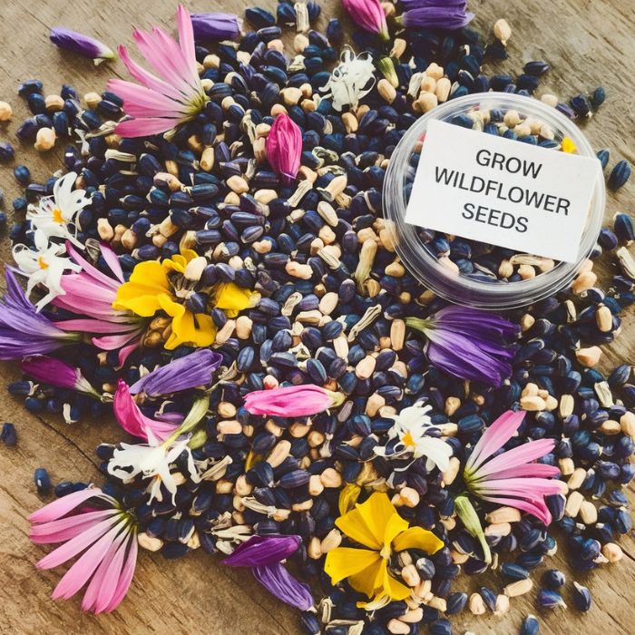 Grow wildflower seeds