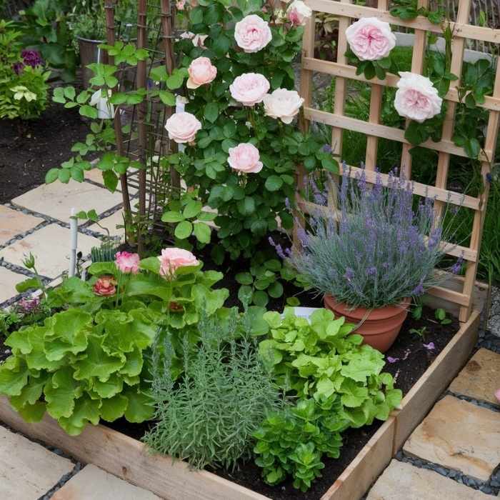 Small garden layout ideas